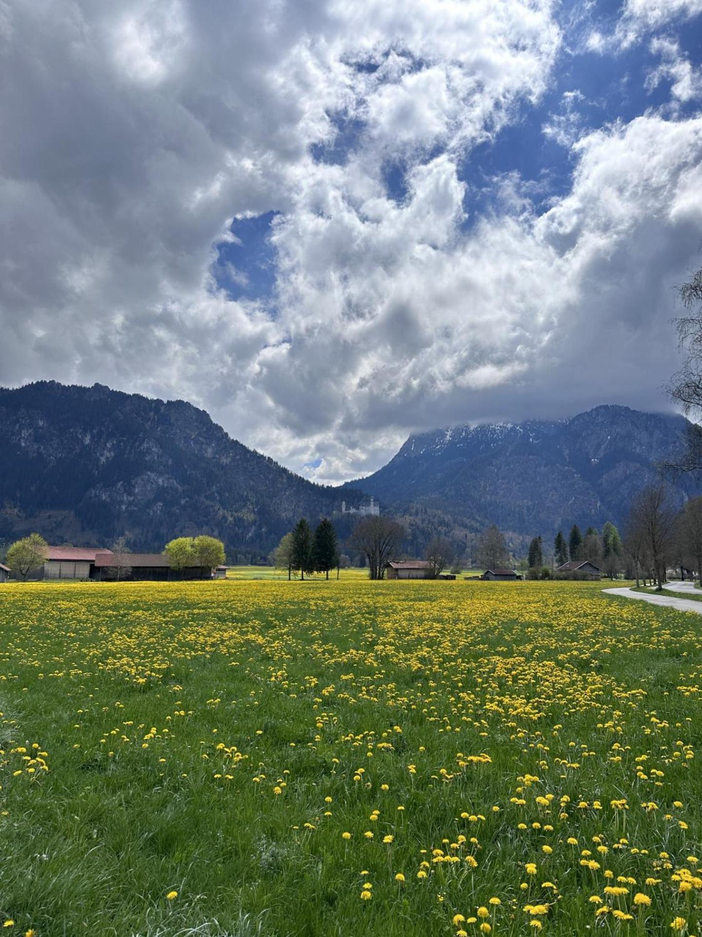 Apartament Gaestehaus Apollo Schwangau Zewnętrze zdjęcie